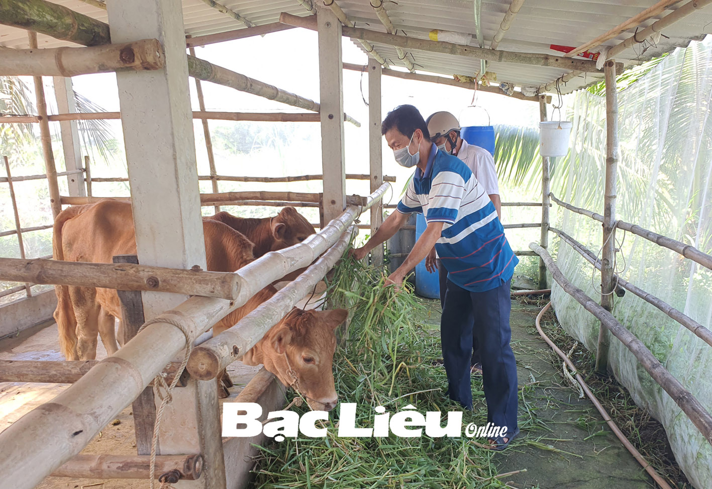 Nhân rộng các mô hình chăn nuôi hiệu quả an toàn  Báo Tây Ninh Online